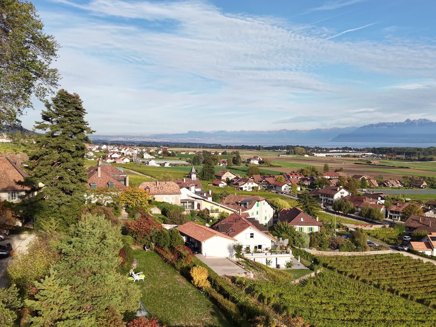Le village de Vinzel et ses vignes d'automne, avec le Léman et les Alpes au loin.