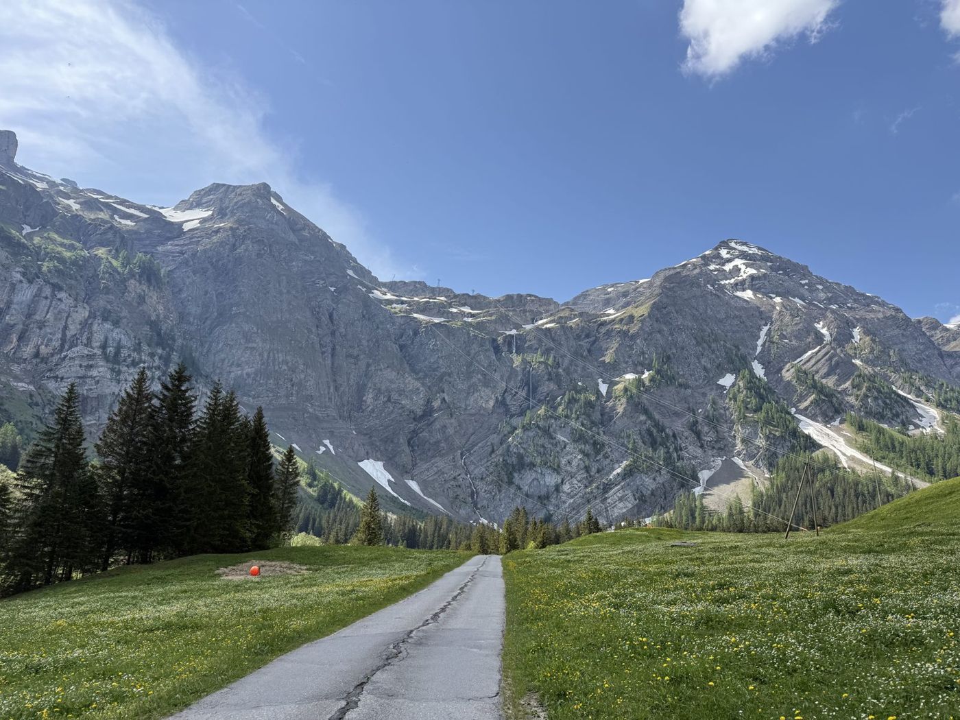 Route de col à travers un alpage, sous des sommets rocheux
