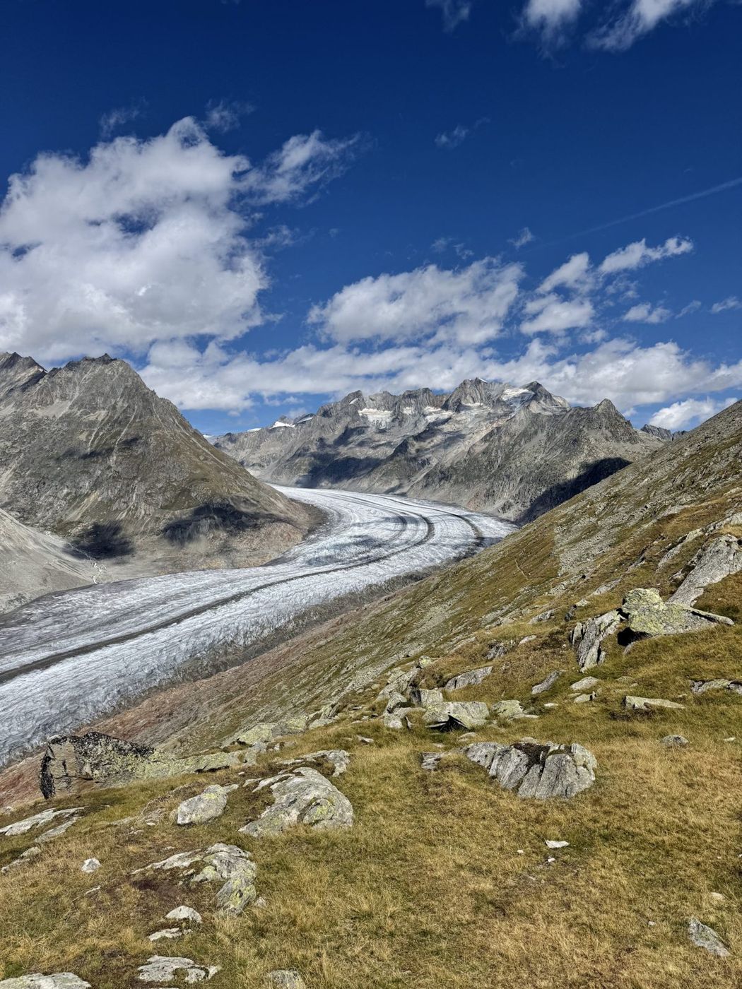 Le glacier du Grand Arvel vu du belvédère